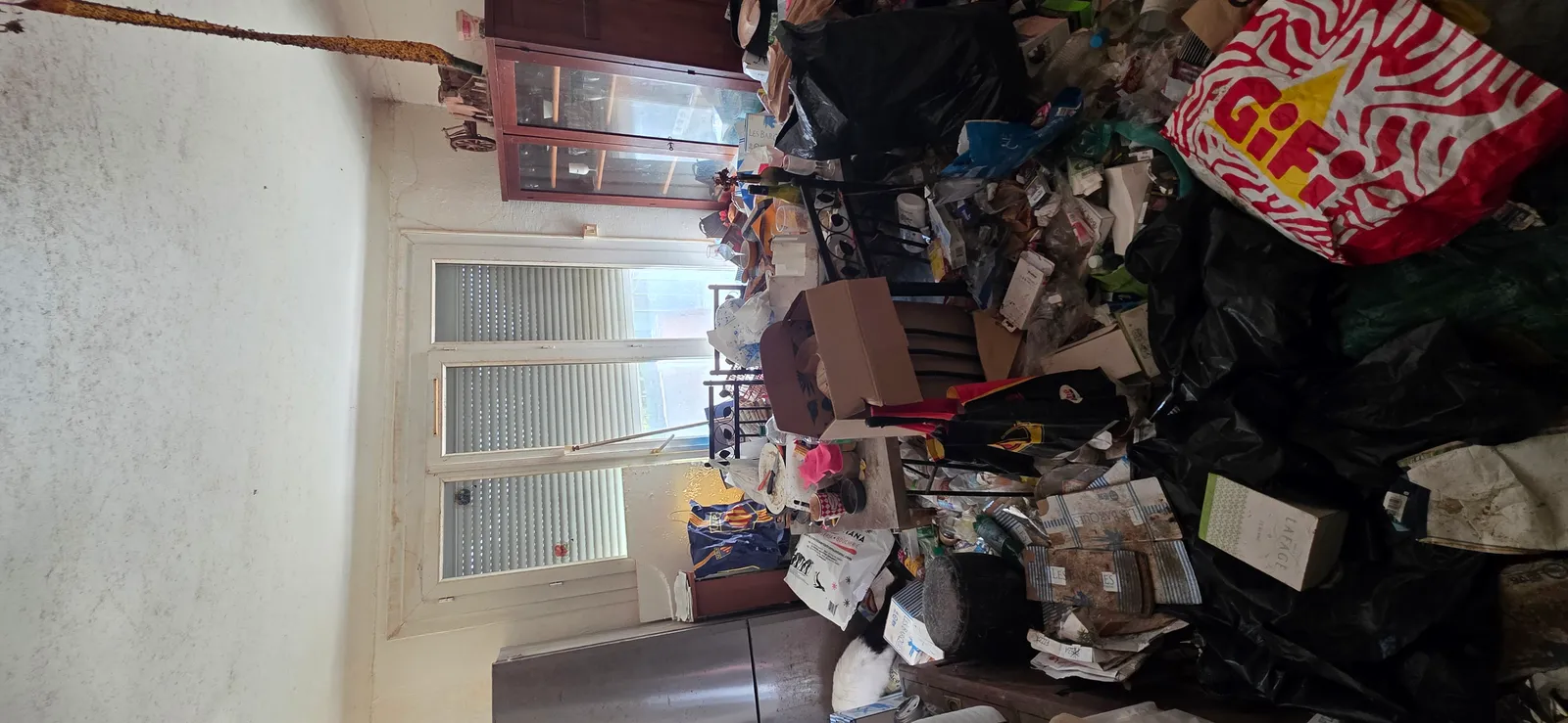 Nettoyage syndrome de Diogène