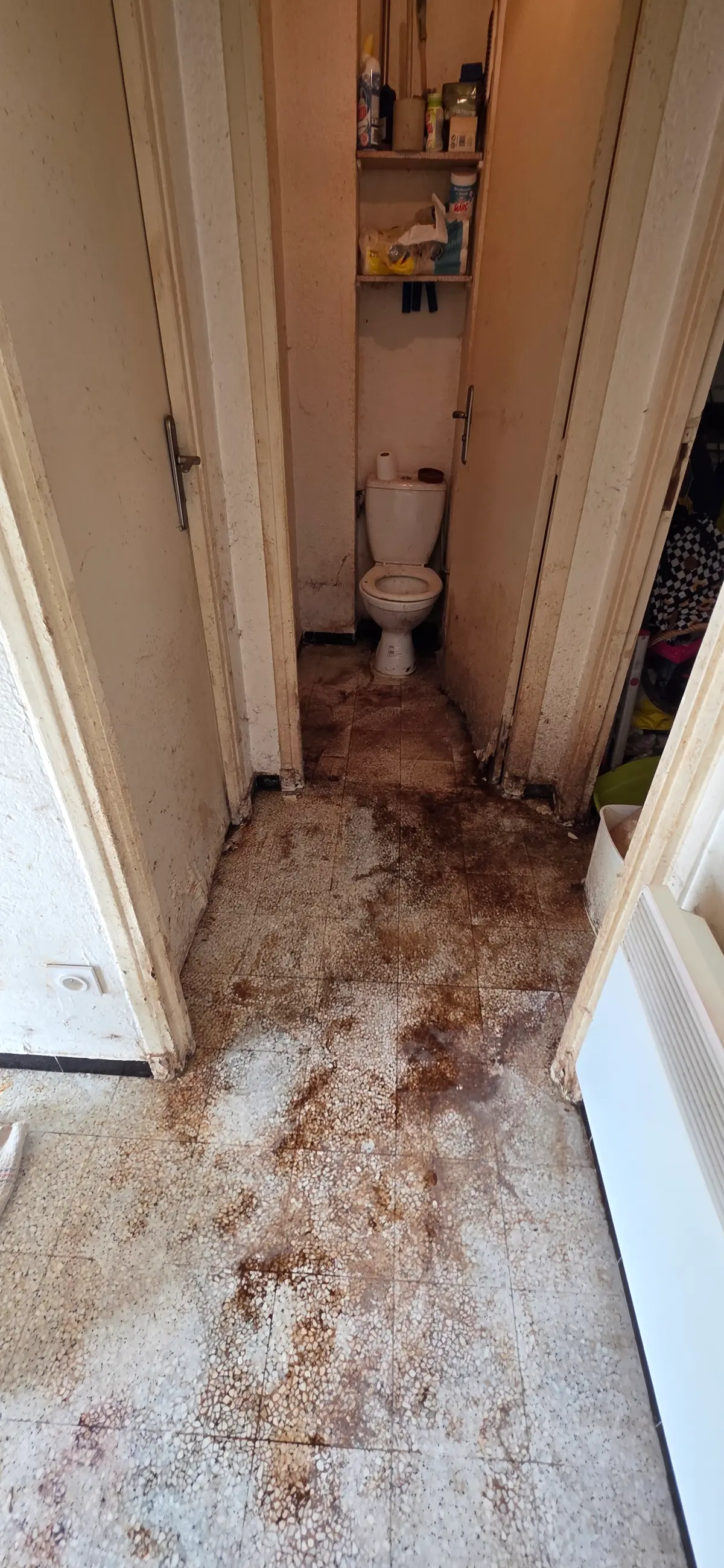 Toilettes insalubres