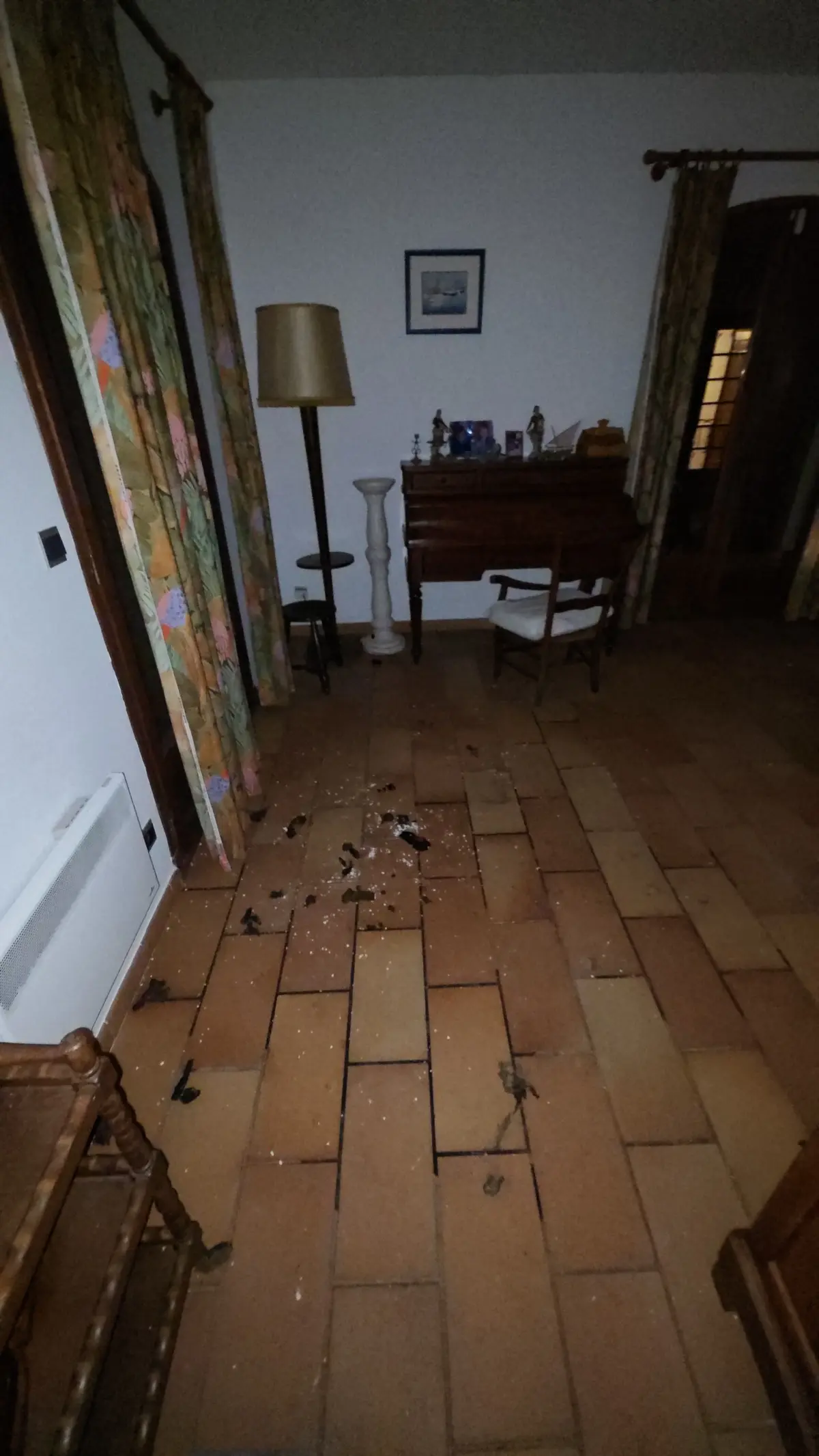 Salon avec traces animales