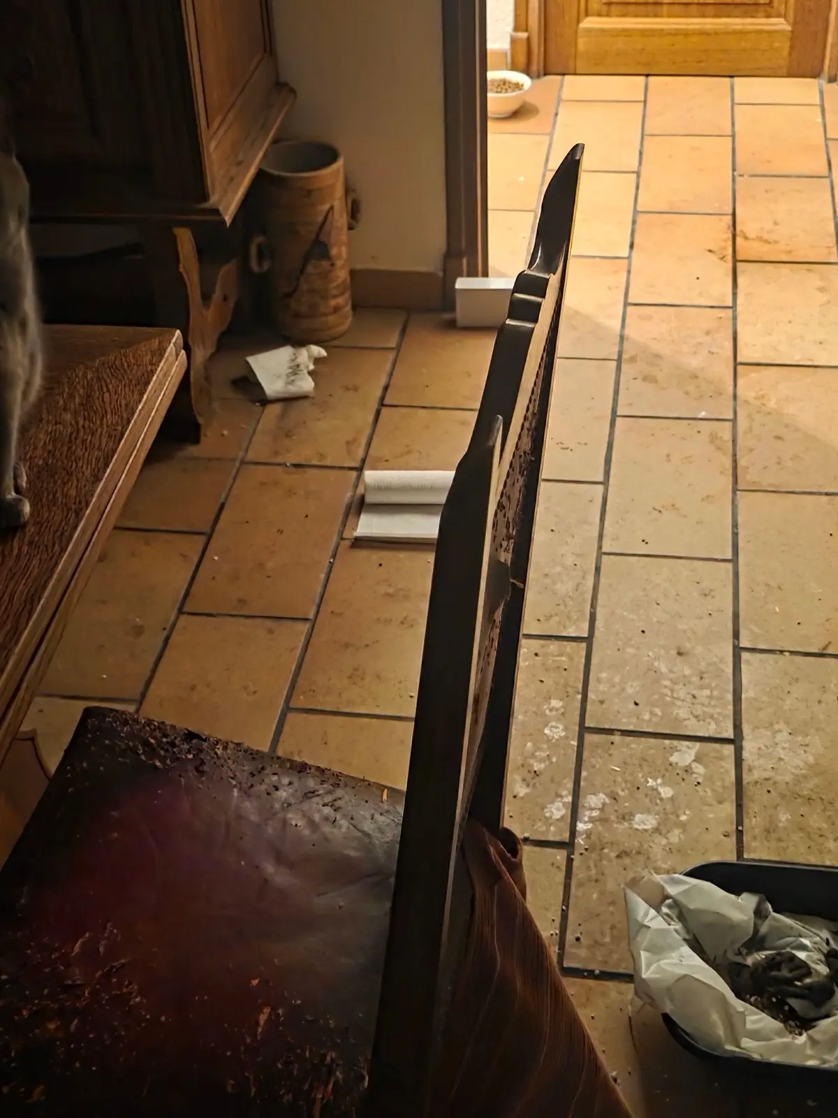 Salle à manger envahie